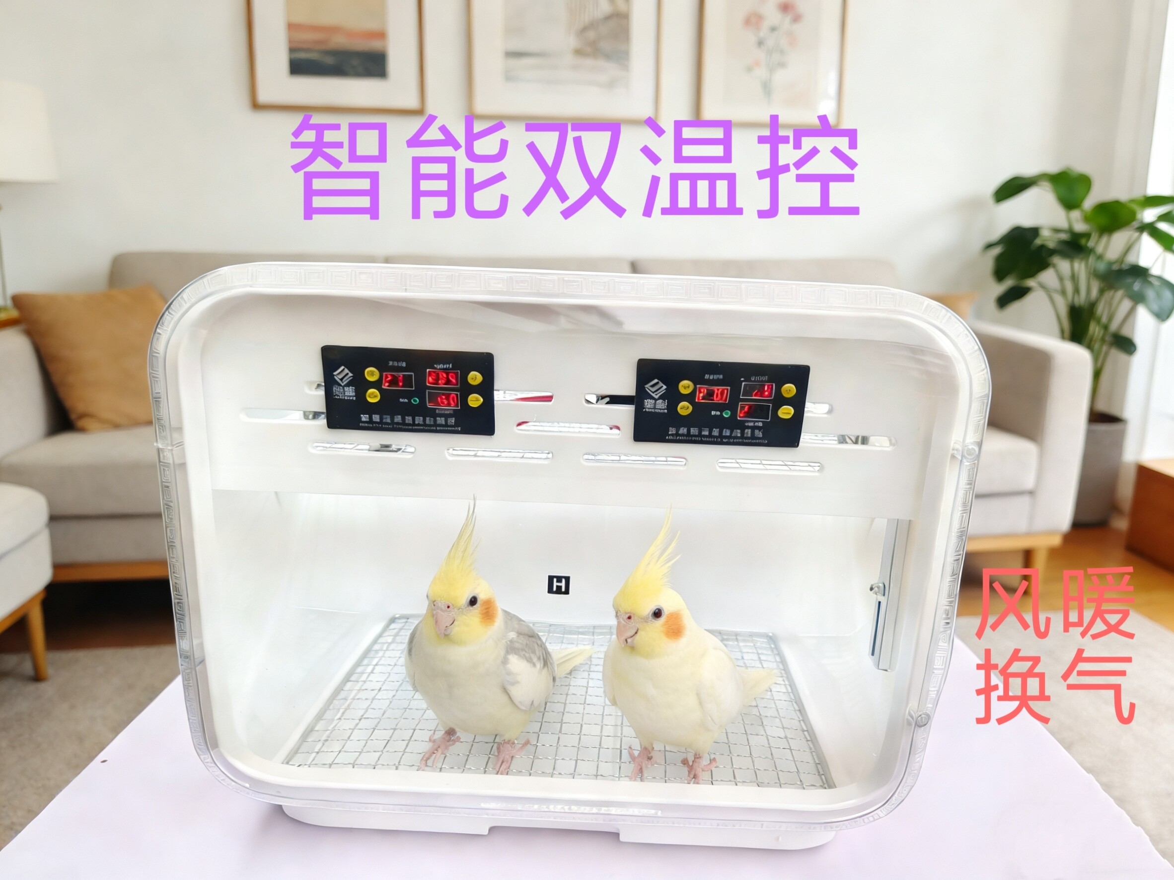 鹦鹉自动恒温育雏风暖冬天幼鸟