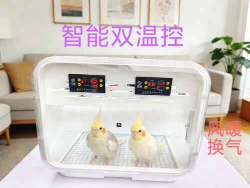 鹦鹉自动恒温育雏风暖冬天幼鸟