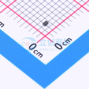 肖特基二极管 0.6x1 元 器件 美台 DFN SBR0240LPW DIODES