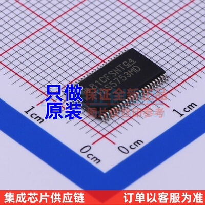 音频功率放大器 TAS5753MDDCAR HTSSOP-48 TI德州 电子元器件配单