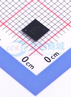 无线收发芯片 STM32WB55VGY6TR WLCSP-100(4.4x4.4) ST(意法半导