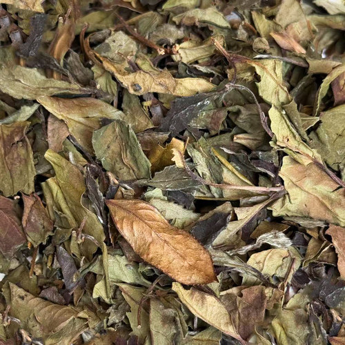 【新品】野蛮生长 2016荒野老枞寿眉 福鼎白茶20g