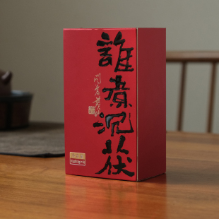 谁煮沉茯 2006年 安化黑茶8.5g 新品