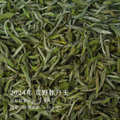 【现货】不羁 2024头采荒野牡丹王 炭焙福鼎白茶 50g