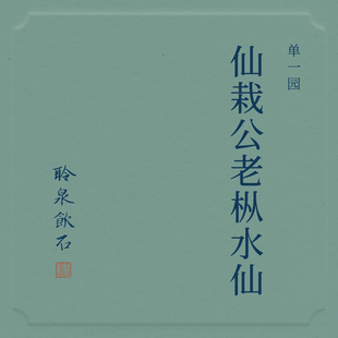 【聆泉饮石】2025仙栽公老丛水仙武夷岩茶乌龙茶 礼盒装青瓷罐