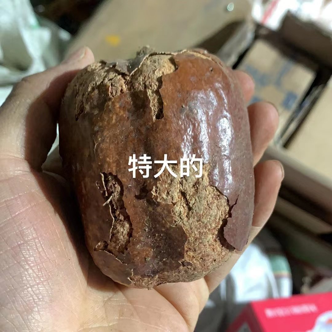 释迦菩提子空心佛心果佛灯成品手工原果打磨水滴吊坠把玩挂件项链图片