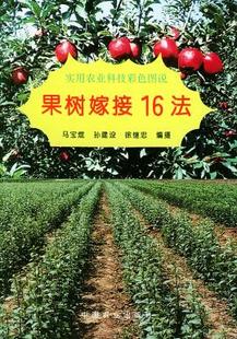 图书 果树嫁接16法 马宝焜等 中国农业出版 摄 社 正版