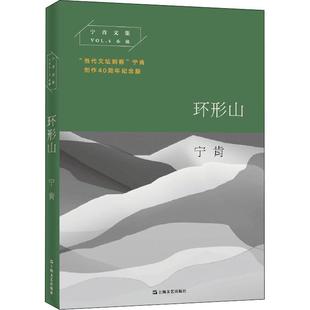 9787532166916 宁肯文集：环形山 上海文艺 新书 正版