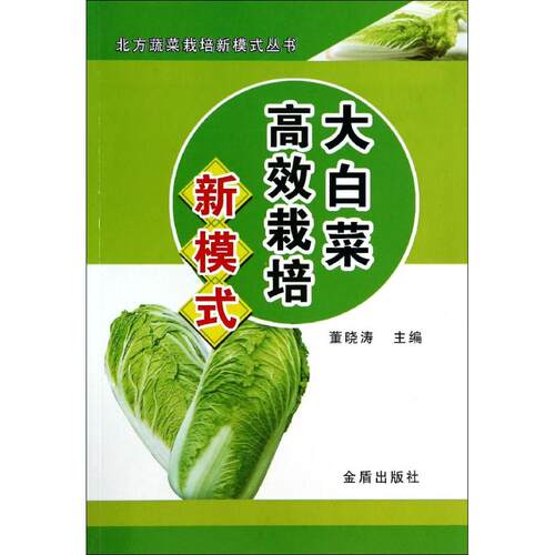 正版 大白菜栽培新模式·北方蔬菜栽培新模式丛书 董晓涛　主编 9787508291680