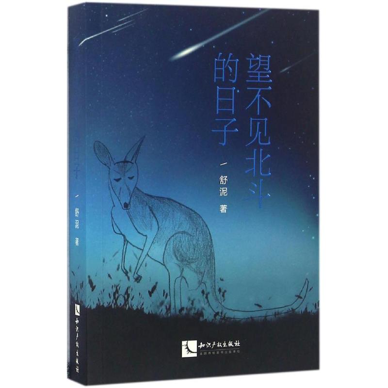 正版 望不见北斗的日子 9787513044066 知识产权出版社