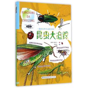 【正版包邮】昆虫大追踪（我的自然生态图书馆） 9787533552602 赵荣台陈景亭著；黄昆谋绘 福建科技