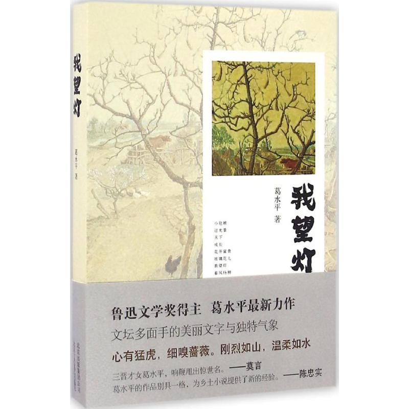 正版 我望灯 9787530216019 北京十月文艺出版社