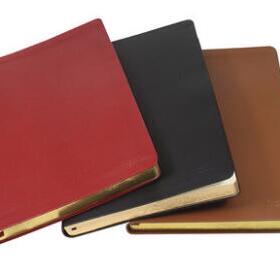 前通DT10-A502金边真皮记事本皮面笔记本 金边硬面抄 A5