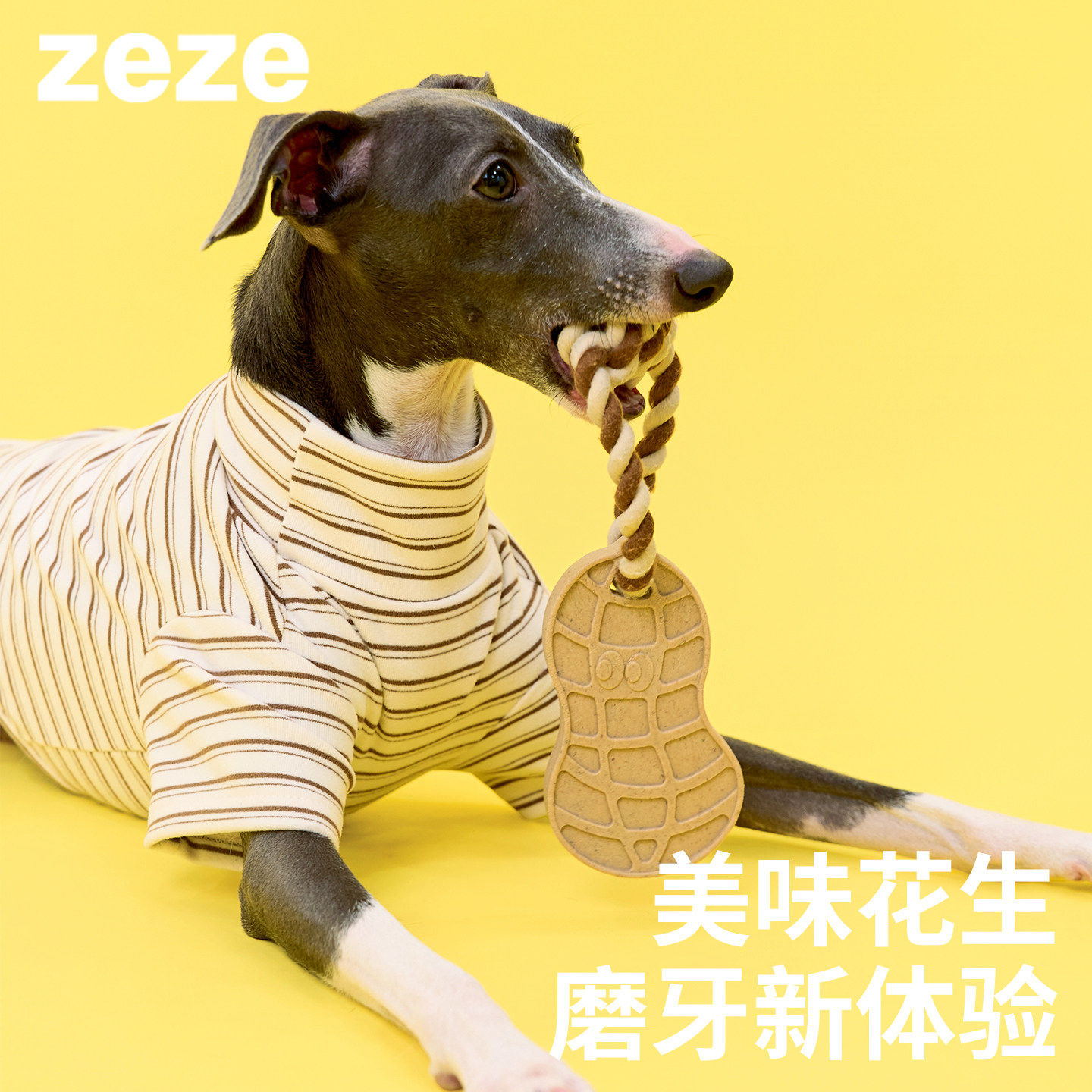zeze花生狗狗磨牙棒小狗绳结玩具中小型犬耐咬自嗨解闷宠物玩具