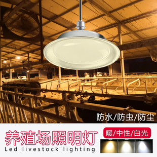麦米养殖场灯餐厅照明吊灯暖光3000K中性光4000Kled超亮螺旋口E27