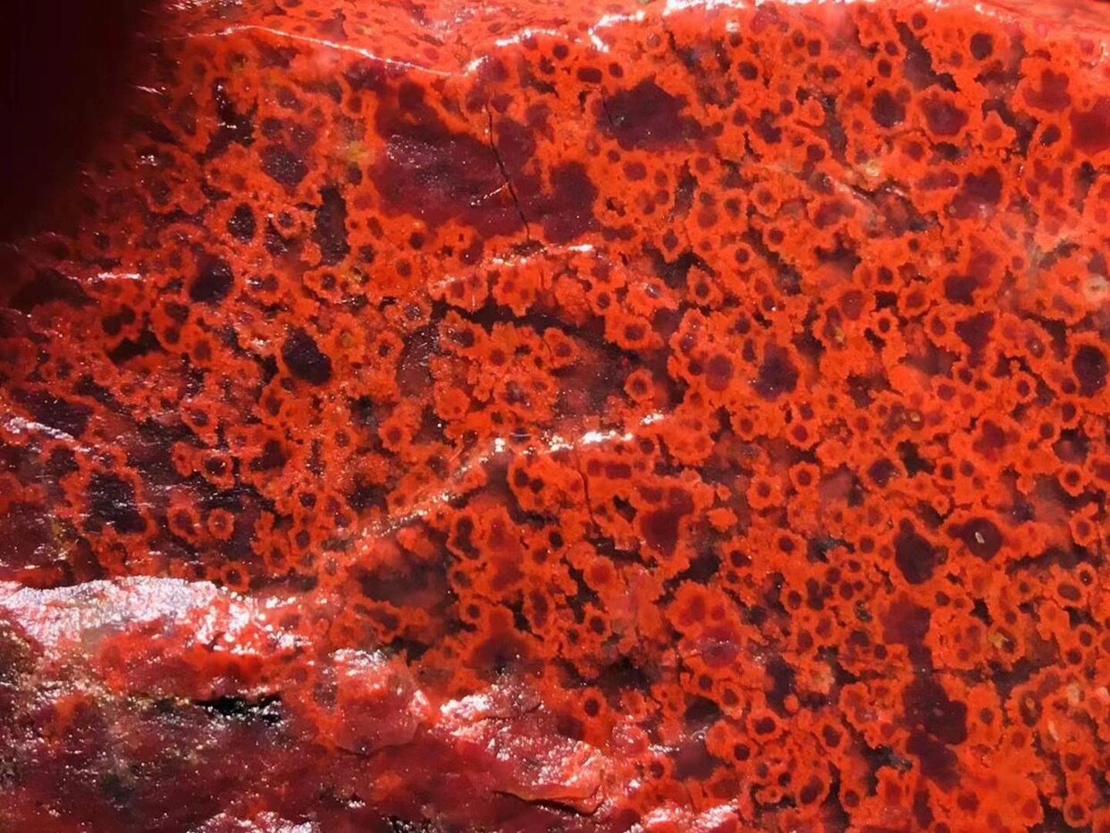 桂林鸡血玉上郎梅花血飘逸天然玉石把玩原石小品石玉化好A点点红