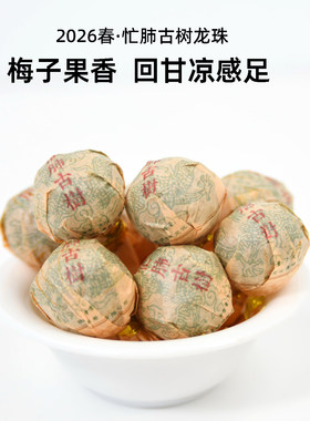 吃茶哥2026春忙肺古树龙珠普洱
