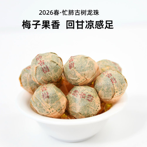 吃茶哥2026春忙肺古树龙珠普洱