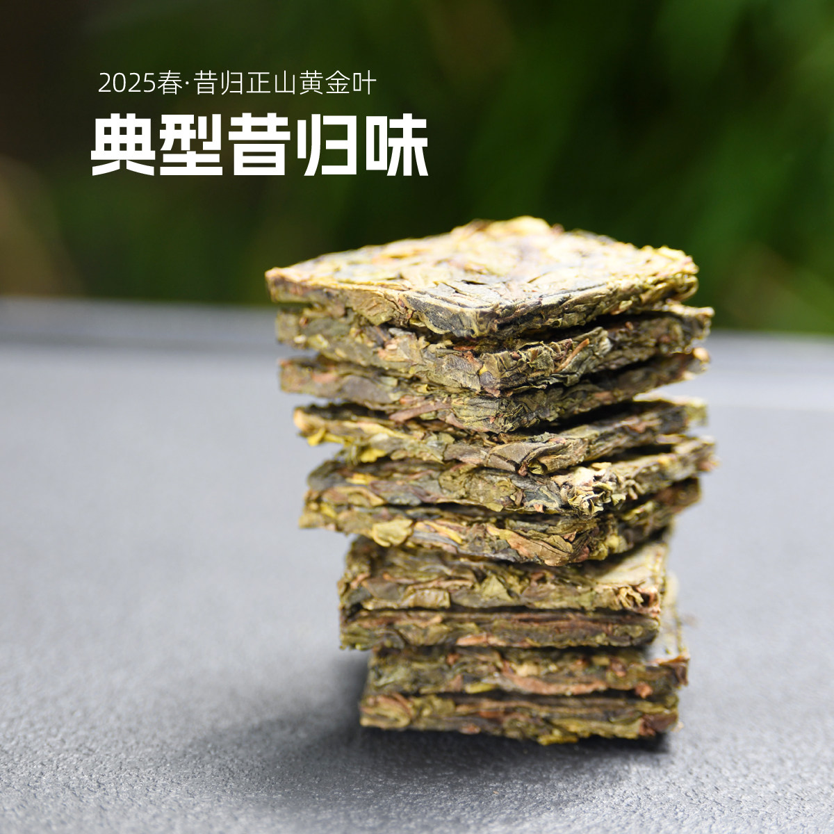 2025春昔归正山黄金叶小方片