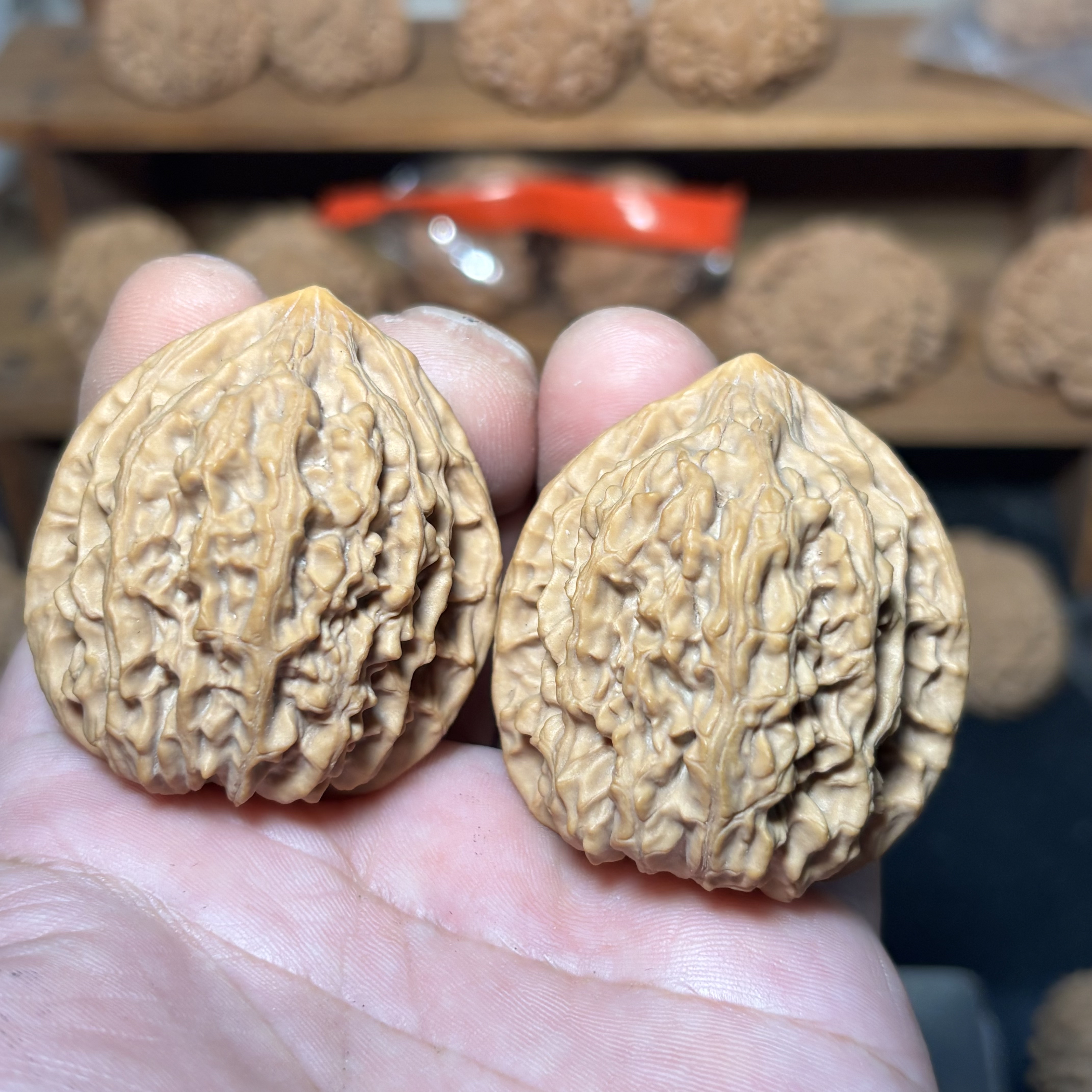 A03考鸡心边43肚44高50尺主筋居中配对完美六面精配