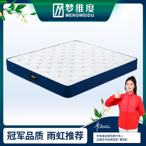 凝胶记忆棉床垫软垫榻榻米垫定制