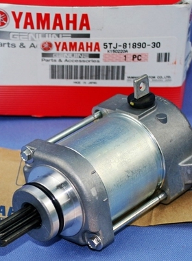 原装TTR250魔术师XT250小鹿XG250 YZ85/125 TW225 DT230 200马达