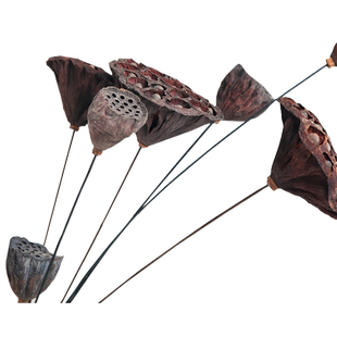 艺术插干花饱满带籽金属花杆干莲蓬 荷花天自然干花装饰客厅落地