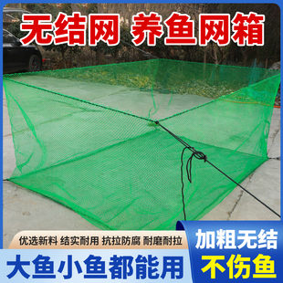无结网箱养殖网渔网聚乙烯加厚鱼网养鱼大网箱存鱼箱水产养殖专用