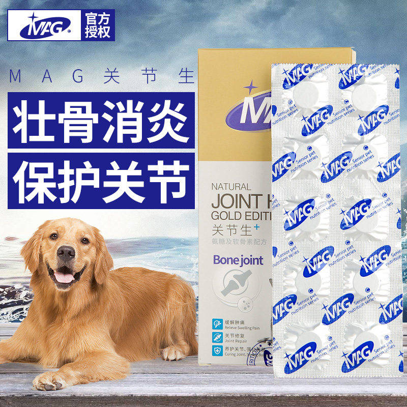 mag骨骼折耳猫老年犬关节生