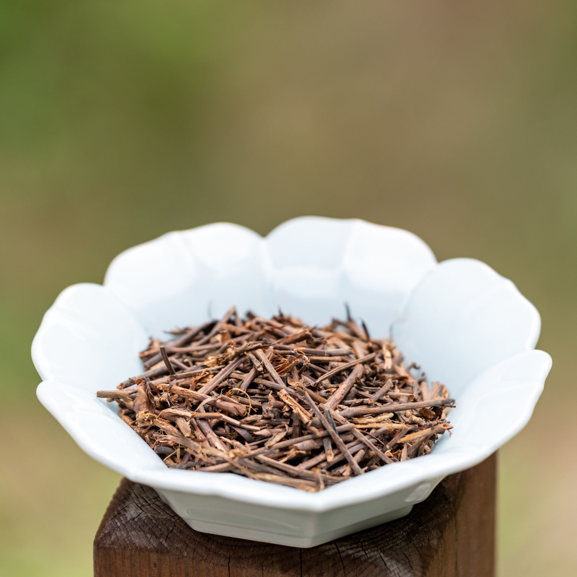 【徐小敏】广西梧州纯好六堡茶