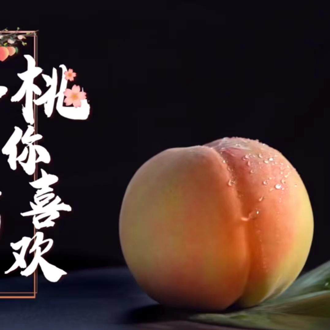 正宗无锡水蜜桃软桃阳山镇产地