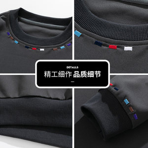 高街刺绣卫衣男秋季重磅美式复古无帽cleanfit卫衣Q5572-P40图片