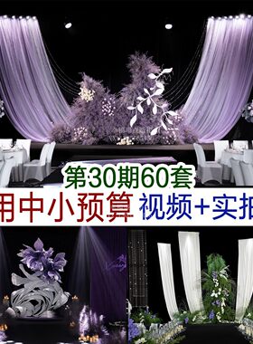 60套中小预算图片+视频案例