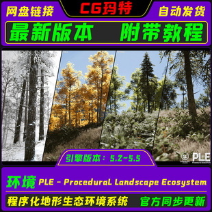 Ecosystem虚幻地形生态系统 UE5.5 PLE Procedural Landscape