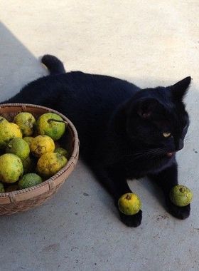 DIRTY SIX 微瑕特惠一区  非7天无理由