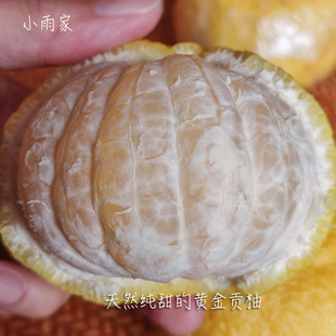 11年小雨家 黄金贡柚送礼  新鲜纯甜无酸湖南溆浦高山种植 不打蜡