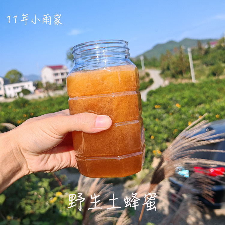 11年小雨家 野生土蜂蜜正宗百花蜜 非养殖蜜山村农家好货真心难得