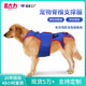 亚马逊新品 宠物脊椎支撑服安抚情绪预防颈椎病宠物胸背带狗狗衣服
