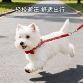 红色牵引绳项圈套装 小型犬柯基柴犬外出安全绳可调节结实狗绳批发