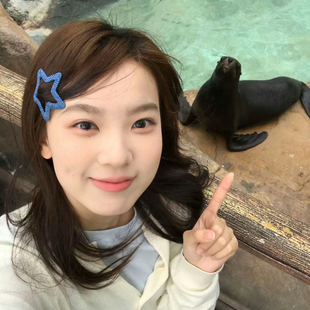 吃定青梅星星发夹网红同款 五角星发夹阚清子韩国牛仔配色布艺夹子