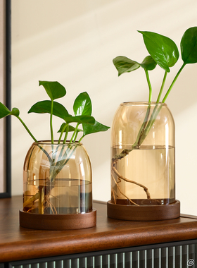复古玻璃小花瓶家用电视柜水培插花器摆件办公室桌面精致绿植花盆