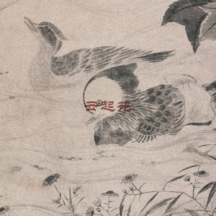 元张中芙蓉鸳鸯图Z高清电子图片10M装饰宣传素材