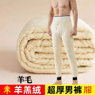 男士 打底裤 羊毛保暖裤 加绒老年大码 东北特厚抗寒 内穿冬季 2025新款