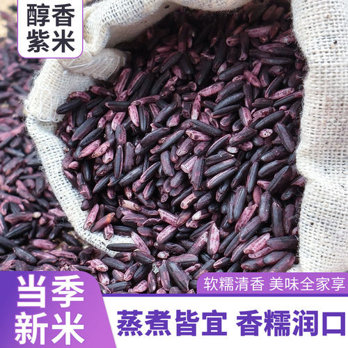 5斤紫米云南紫糯米黑米糯米云南墨江粗粮特产血米团子做紫米露
