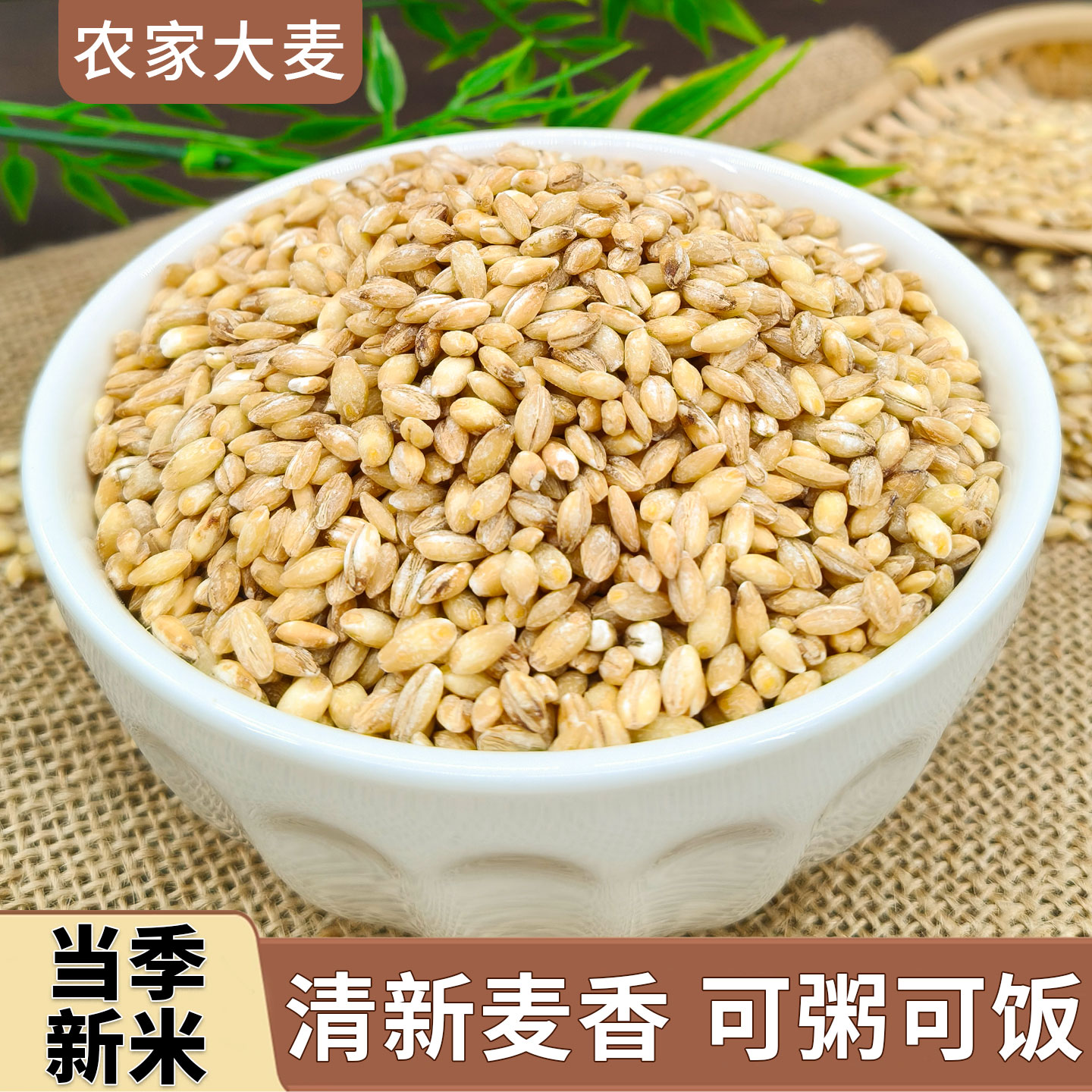 新脱皮大麦仁5斤装农家当季粗粮大麦米去皮麦仁麦香煮粥煲汤燕麦