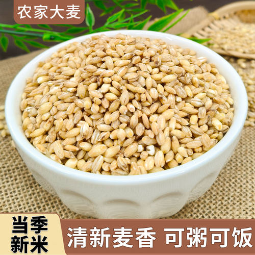 新脱皮大麦仁5斤装农家当季粗粮大麦米去皮麦仁麦香煮粥煲汤燕麦