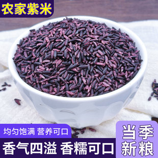 云南紫米新米紫糯米老品种紫糯米糯米大米2500gx1