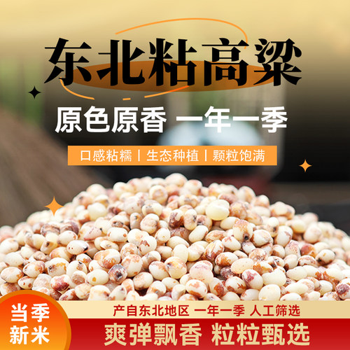 东北红粘高粱米5斤新米糯米饭研磨去皮糍粑酿酒食材五谷杂粮米粥