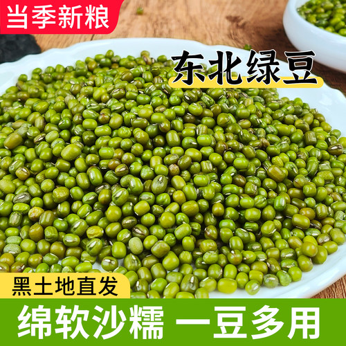 东北绿豆新鲜农家绿豆可发芽粮油颗粒饱满皮薄杂粮绿豆汤5斤批发