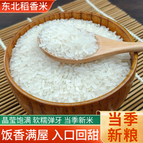 2025新米东北长粒香米5斤大米稻香米珍珠米